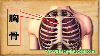 因为食管在胸骨的位置,因此胃食管反流 引发的疼痛会放射到胸骨的位置
