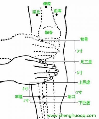 李乾构:胃炎、胃食管反流、脾胃虚弱、调整脾胃