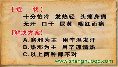 养生堂讲述温病、寒包火、表寒里热证