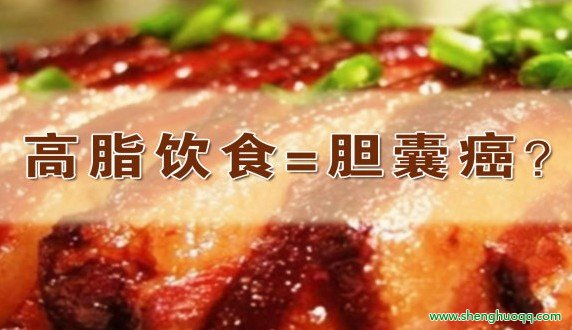 高脂饮食和胆囊疾病的关系