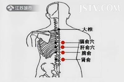 肝俞穴和肾俞穴的位置