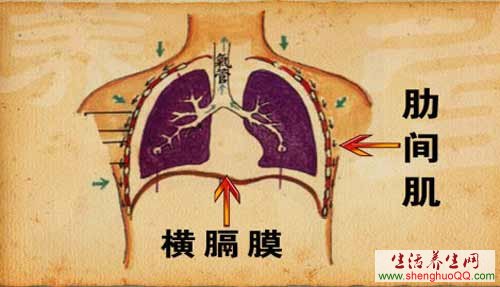 增强心肺功能的方法