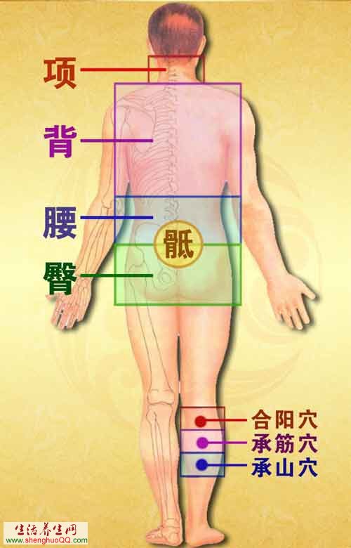 合阳穴、承筋穴、承山穴