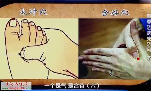 太冲穴-合谷穴