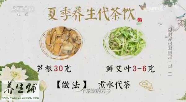 夏季养生代茶饮