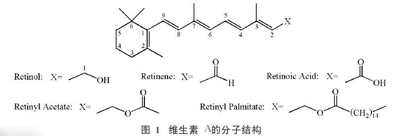 维生素A的分子结构 