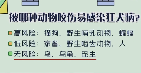 被哪种动物咬伤易感染狂犬病