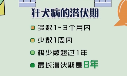 狂犬病病毒的潜伏期